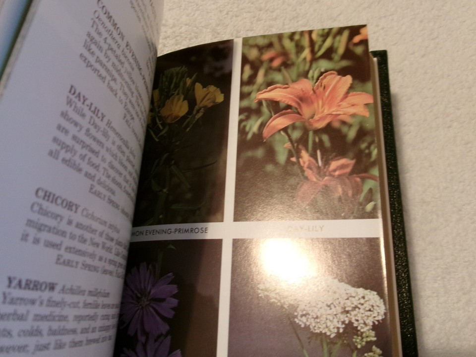 Easton Press Book Roger Tory Peterson Field Guides EDIBLE WILD PLANTS