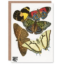 Eugene Seguy Art Card Vintage Butterflies Papillons