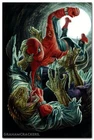 Amazing Spider-Man #13 (2025) bermejo amazing visions virgin variant 1:100