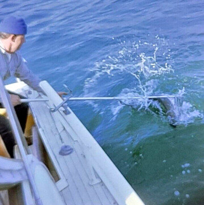 1960s San Francisco Big Catch Fishing in Ocean by the Bay Kodak Photo 3D Slide