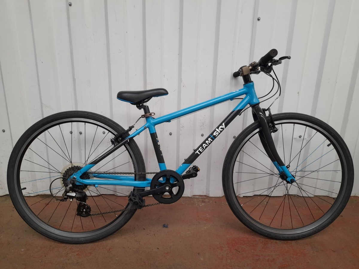 Mountain Bike Frog Team Sky Bike Frog 55 Team Skye Kid's Bike Team