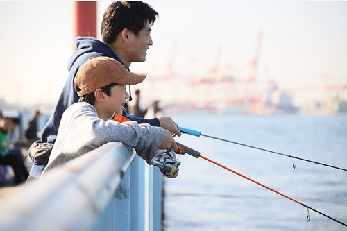 JACKALL GOOD ROD GD-S62L-2PC Multi 2 Piece Family Rod CHoose Color From Japan - Picture 3 of 12