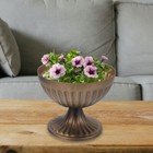 Bild 8 von 12
