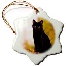 3dRose Black Cat 3 inch Snowflake Porcelain Ornament