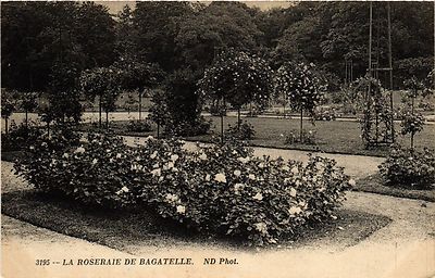CPA PARIS 16e-La Roseraie de Bagatelle (326434)
