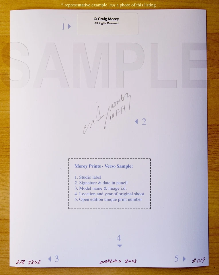 Figura artística femenina de estudio Natalie 81106,07 en blanco y negro foto firmada por Craig Morey Foto 2 de 3