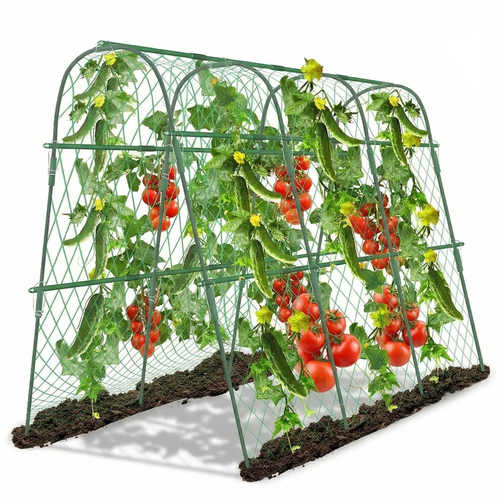 Trellis Close-up Detail