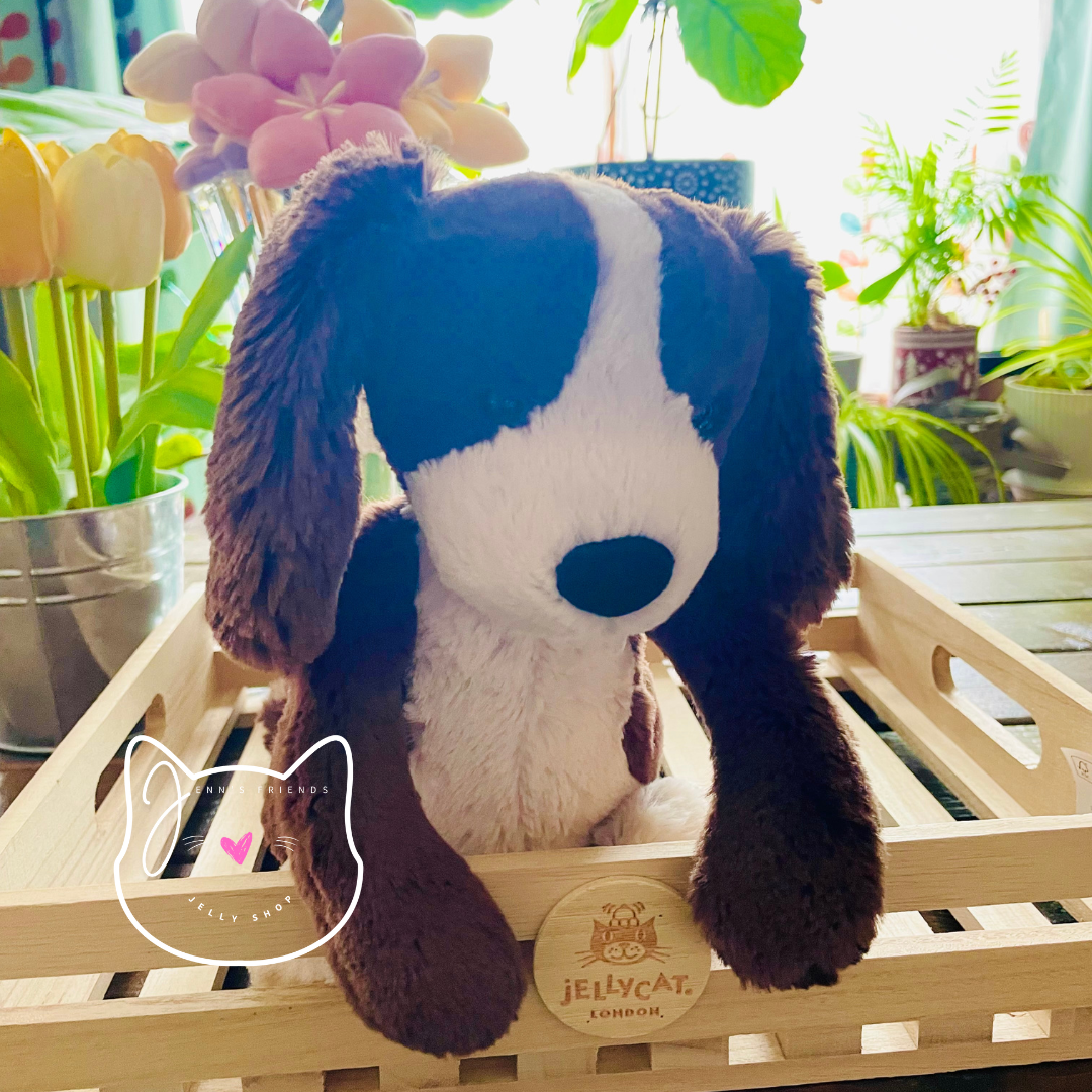 AUTHENTIC Jellycat ORIGINAL BASHFUL FUDGE PUPPY New BNWT Medium