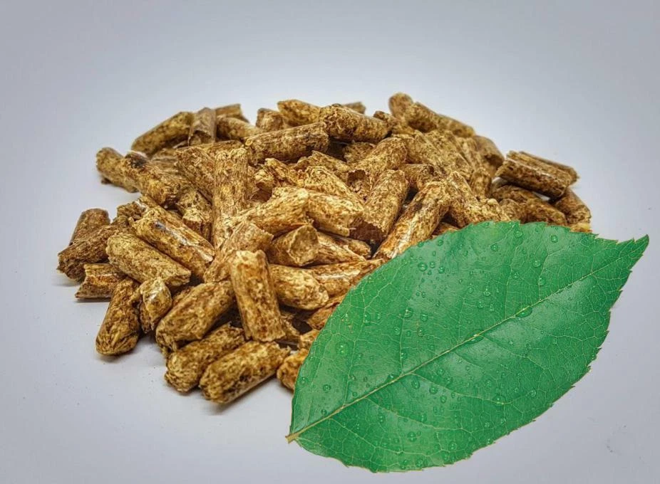 PELLETGRILL.ROCKS 15 kg Grillpellets Räucherpellets Buche Buchenpellets BBQ Smoker Ø 6mm