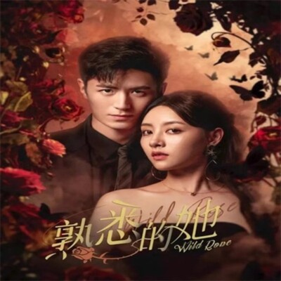 Chinese Drama shu xi de ta Chinese Sub 熟悉的她 Boxed 2025