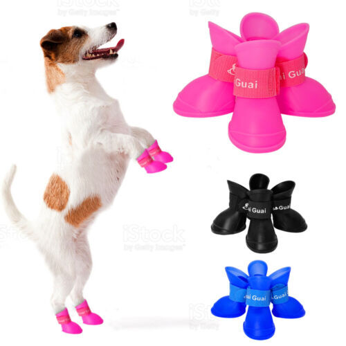 Clip Di Gomma Per Tractive GPS Dog 4 - Pacco Da 3 Pezzi Per Collari Fino A 2.8 Cm - Foto 10