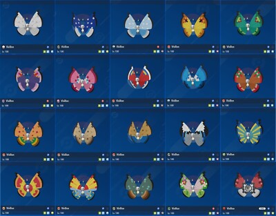 Shiny 6IV XXXL Level 100 beliebiges Muster Vivillon Pokemon Scarlet/Violet Home