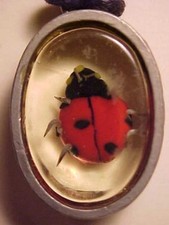 Lady Bug Pendant Necklace Encapsulated Lady Bug Pendant