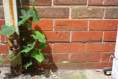 Photo 6x4 Benchmark on #15 Ryelands Crescent Larches Ordnance Survey cut  c2016