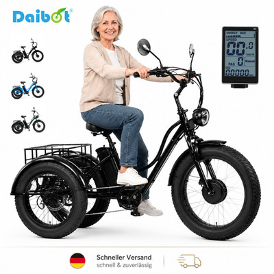 Daibot 750W 48V fatbikeartiges E-Dreirad 24 Zoll Reichweite 65 km fuer Senioren