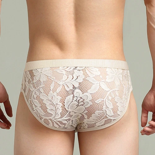 Mens Sexy Lace Transparent Briefs Mesh See Through Lingerie Underpants Hombre - Bild 6 von 8