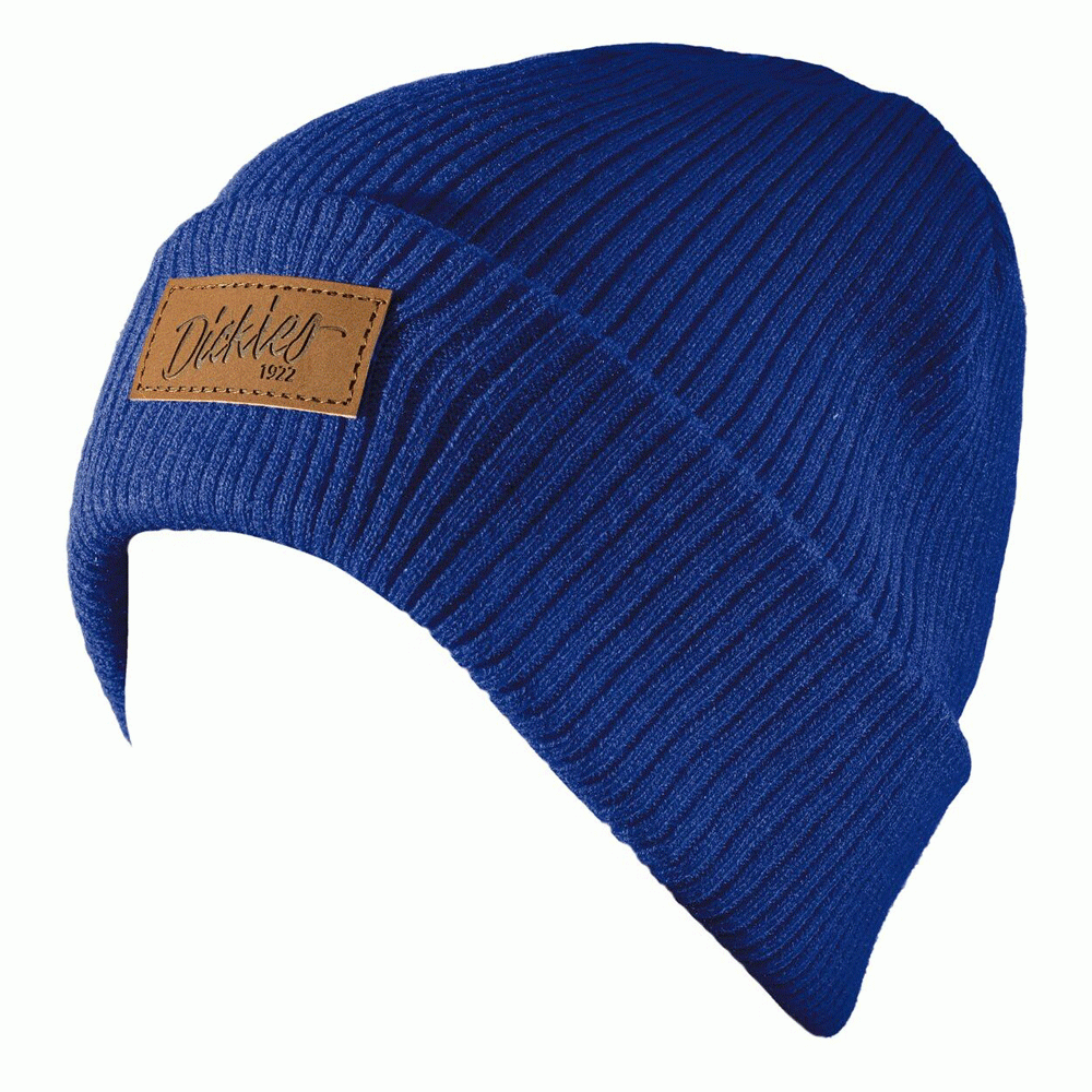 Dickies 22 Evadale Logo Beanie Various 