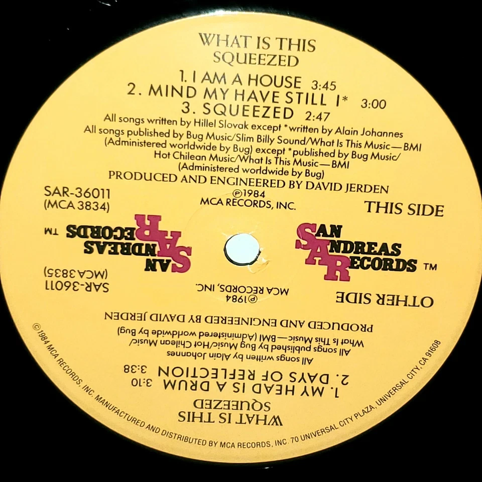 WHAT IS THIS Squeezed EP VG+ Plays Well 1984 Hillel Slovak Chili Peppers RHCP — 第 3/4 张图片