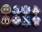 Us Army Medical Hospital Military Unknown Medic Unit Di Crest Pin Collar Lot