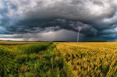 Storm Cloud with Lightning over Wheat Field Photo Art Print Poster 18x12