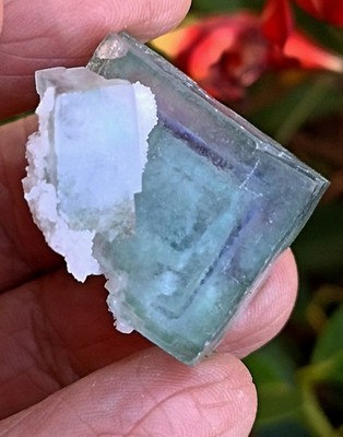 Wunderschöner Fluorit Kristall grün blau fluoreszierend. 28x26mm. Yaogangxian Mine