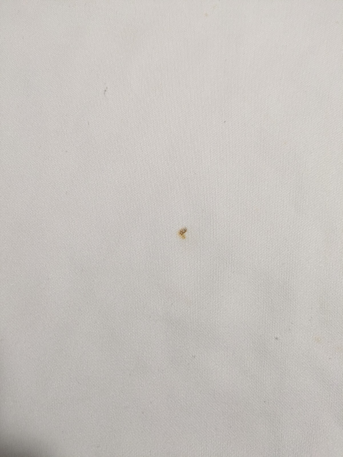 Picture 8 of 15