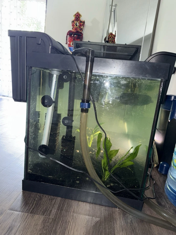 🐢 Configuración completa de tanque tortuga de 75 galones - Todo incluido - OBO $450 Foto 3 de 4