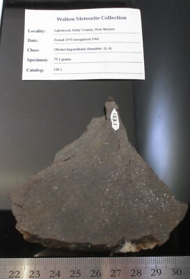 Lakewood meteorite slice - 60.6 gram - L6 - Ex. Huss Ex. Walton