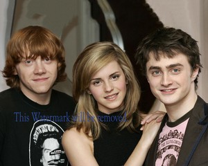 Details About Emma Watson Daniel Radcliffe Rupert Grint 8x10 Photo Picture Image Ew33