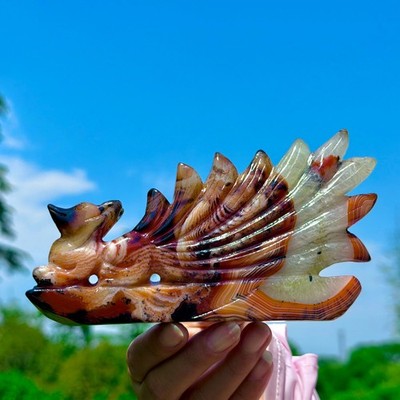 417G Natural Red Orange Sardonyx Agate Carved Nine-tailed Fox Crystal Healing