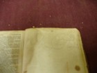 Picture 5 of 5