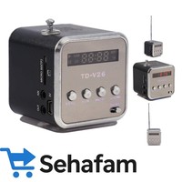 Tragbarer Digitaler Lautsprecher Mit Fm Radio & Usb FüR Musikgenuss - Schwarz