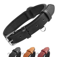 Leder Hundehalsband Gepolstert Verstellbar Schwarz S FüR Kleine Bis GroßE Hunde