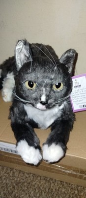 CUDDLE CLONE - PLUSH REALISTIC CAT ''PACINO''
