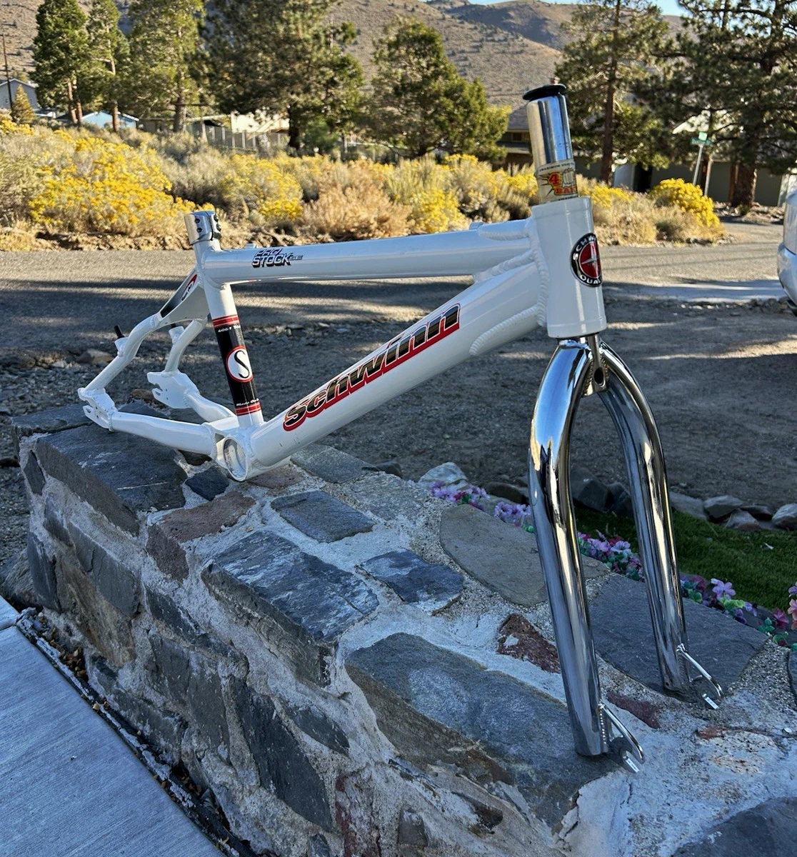 25+ schwinn bmx for sale | Updated Oct 2026