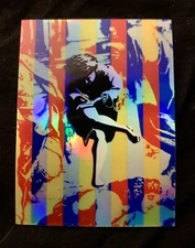 GUNS N ROSES Holographic Prism Vinyl Sticker/Decal 3.5x2.5” 🔥USE YOUR ILLUSION