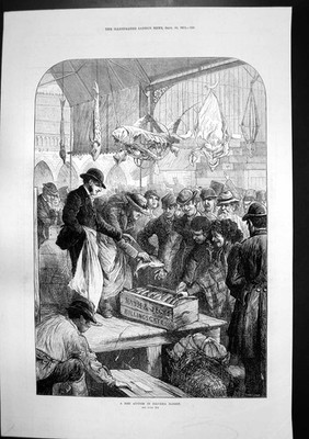 Antiker alter Druck Fisch Auktion Kolumbien Marktplan Hoffnung gewährt Gräben 1871