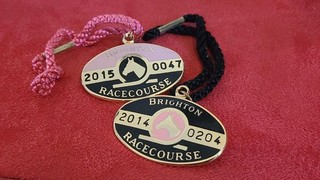 2 x Brighton Racecourse Enamel Horse Racing Passes 2014 & 2015