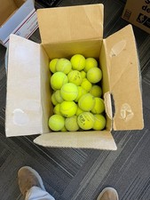 100 used tennis balls for dogs