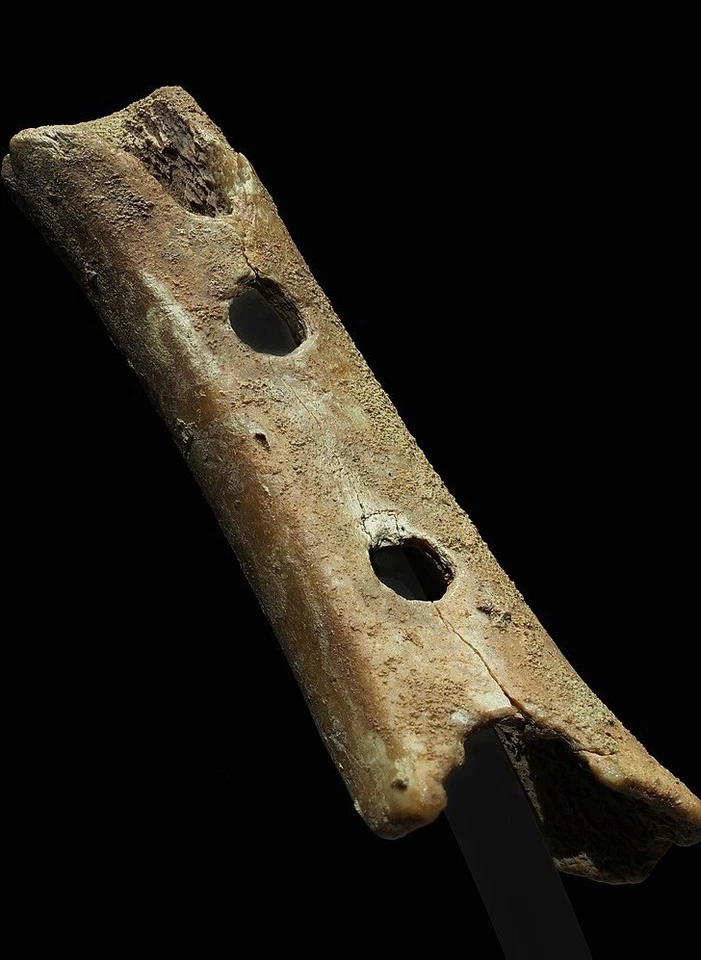 Divje Babe Neanderthal Bone Flute: Replica of Oldest Known Musical Instrument - Image 4 of 4