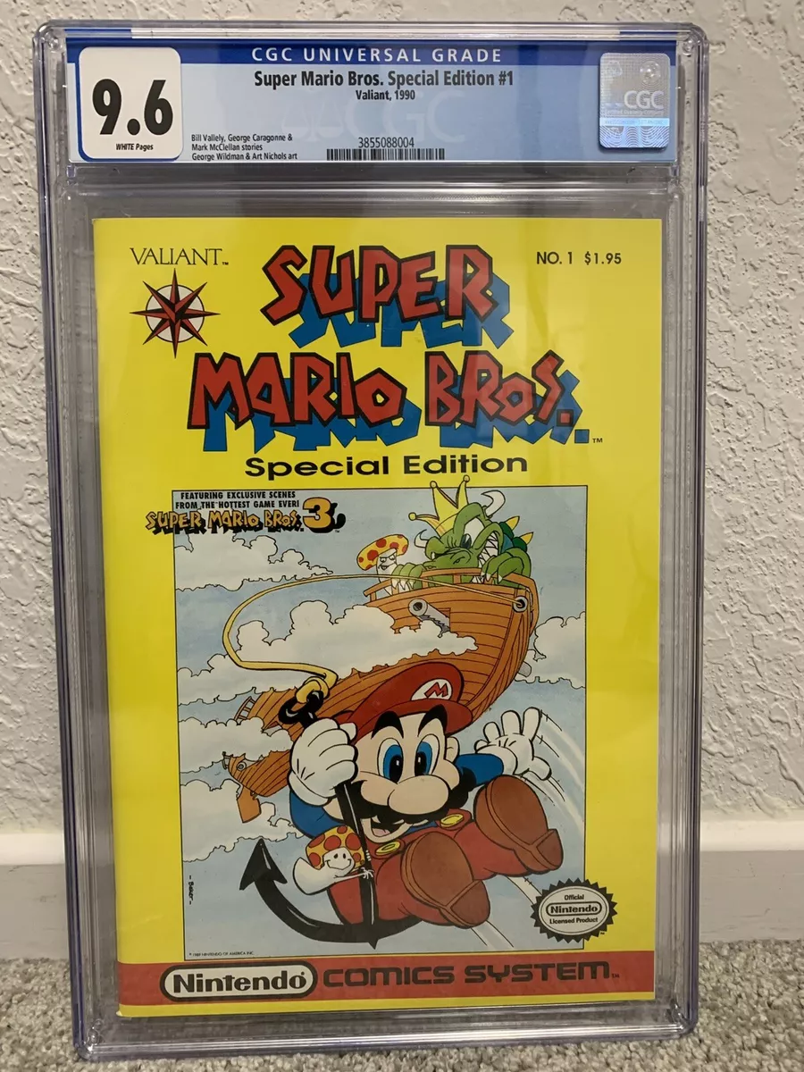 Super Mario Bros. Special, Nintendo