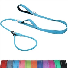 Tangle-Free Slip Lead Leash for Dogs with Padded Traffic Handle, Reflective, 6ft