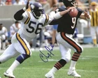 Signed 8x10 CHRIS DOLEMAN Minnesota Vikings Autographed photo  w/ COA