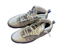 Nike Zoom Don Silver Concord 407577-100 BASKETBALL SHOES Excellent condition 9.5