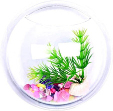 Acquario Da Muro 9 Cm Pesci Vetro Vaso Design Parete Piante Idroponiche Visto in