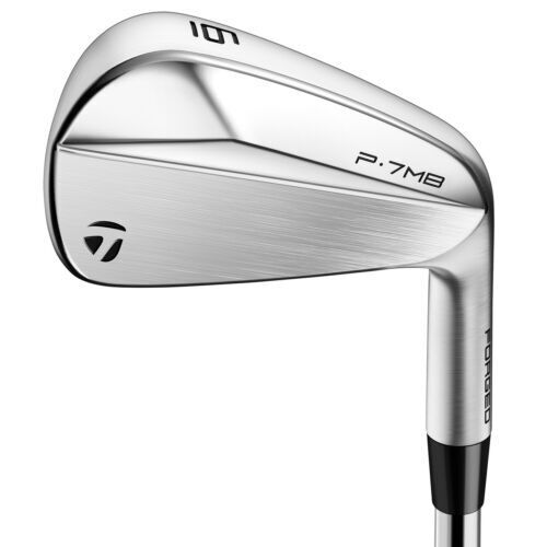 Royal Collection BBD's Tour VS Forged Single 5 Iron TI DG Royal Collection BBD's Tour VS Forged Single 5 Iron TI DG