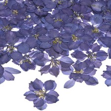 24er-Pack Trockenblumen f&uuml;r Harz/Basteln DIY, Dunkel Lila