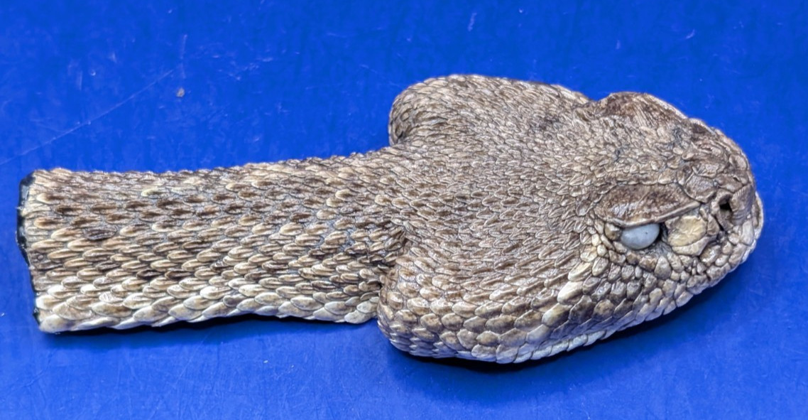 Reah Western Rattlesnake Head Closed Mouth Collectable Display ...