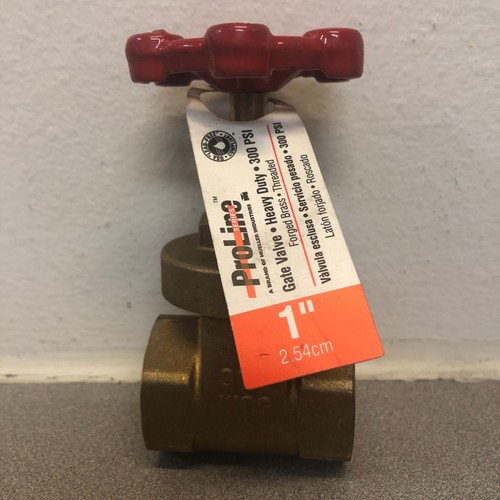 B&K ProLine 100-205NL 1 in. FIP Brass Gate Valve