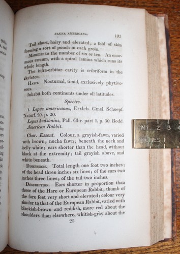 1825 Fauna Americana First Edition Mammiferous Animals North America USA HARLAN - Picture 11 of 14